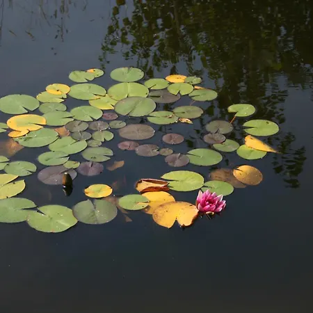 Apartment La Vannerie Havelange