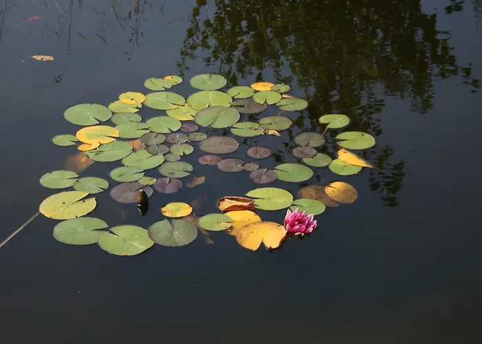 Apartment La Vannerie Havelange